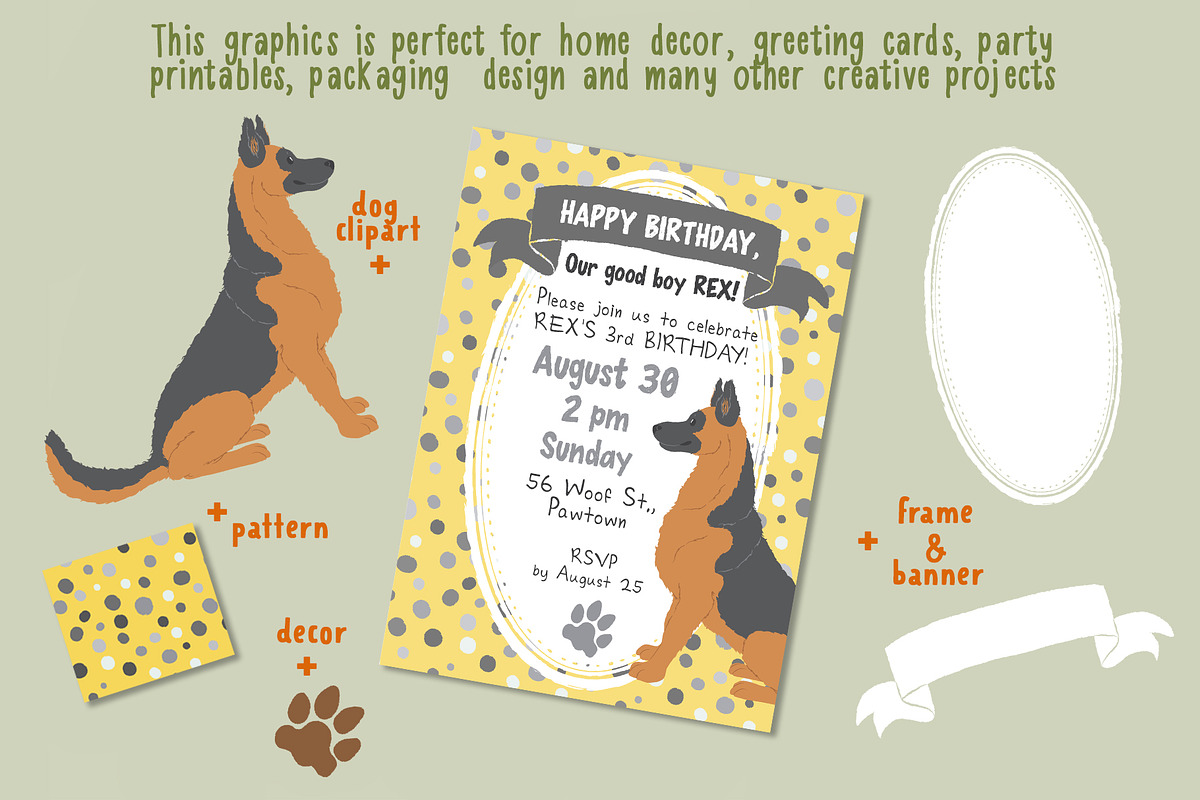 Dog breeds vector clipart, an Object Graphic by Trinibis (Photo 10 of 11)