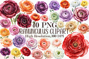 Watercolor Ranunculus Clipart, an Illustration by Sublimation Artist (Thumbnail 1 of 6)