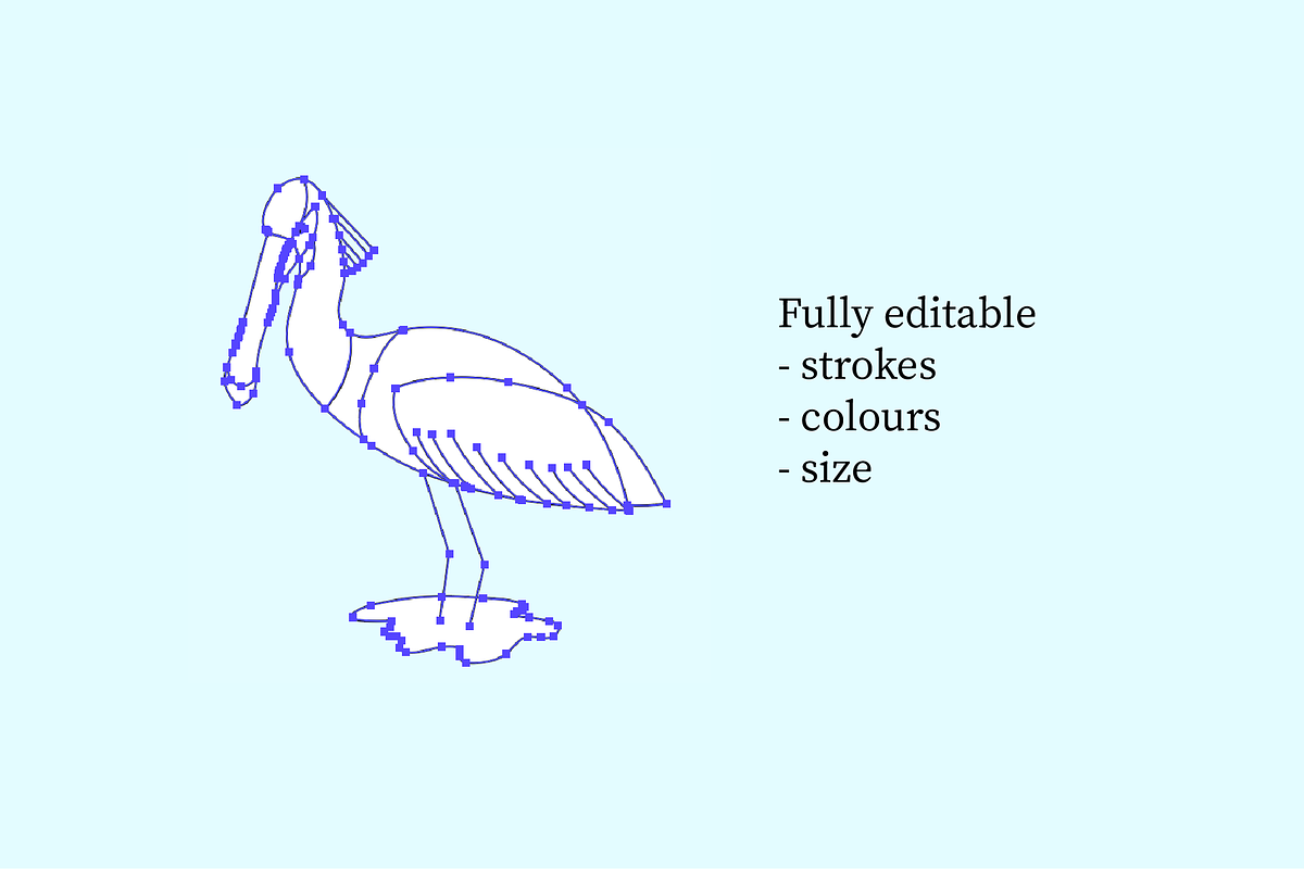 European Coastal Birds, an Illustration by Goodputty (Photo 3 of 4)