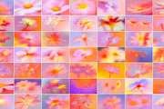 Slow Petal: Floral Blur Backgrounds, a Background Graphic by Anzhelika (Thumbnail 8 of 10)