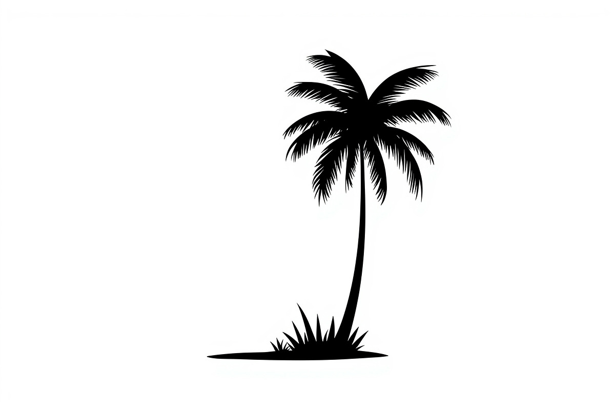 Summer Beach Palm Bundle, an Illustration by jahid234 (Photo 6 of 21)
