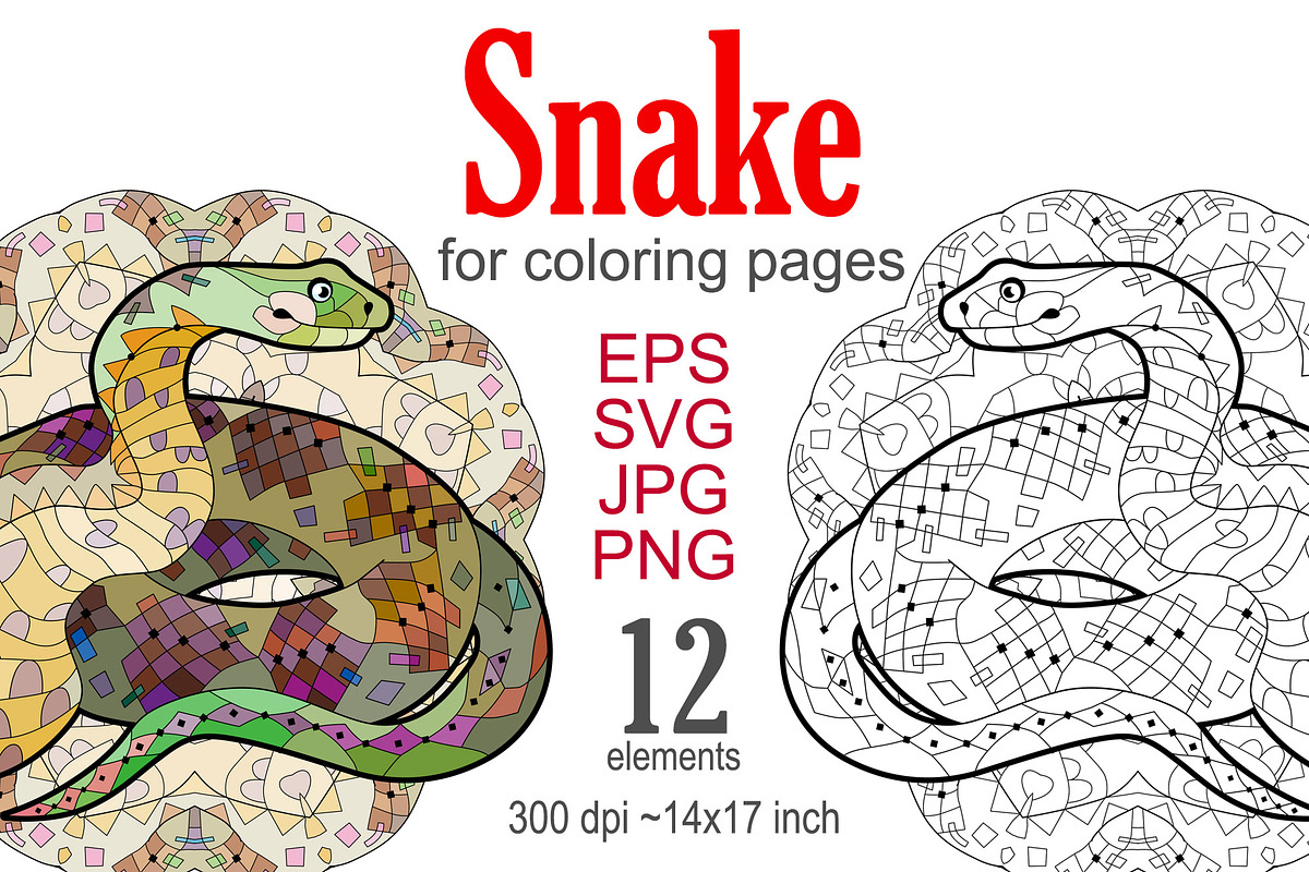 Decorative snakes for coloring, an Object Graphic by Watercolor fantasy (Photo 1 of 7)