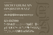Fanlste Ligature Typeface Font, a Serif Font by Storytype Studio (Thumbnail 11 of 13)