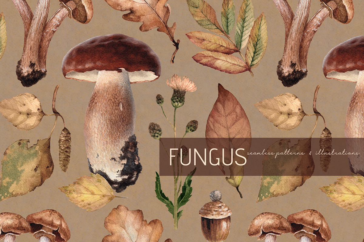 Fungus, a Pattern Graphic by Sundra (Photo 1 of 13)