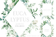 Scent of Eucalyptus - Graphic Set, an Illustration by studioequinox (Thumbnail 16 of 21)