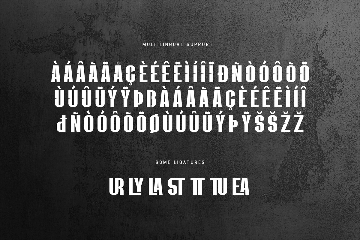 Survalyn - Modern Sans Serif Font, a Sans Serif Font by overlaytemplates (Photo 5 of 5)