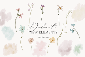 UPDATE! Delicate Stories Wildflowers