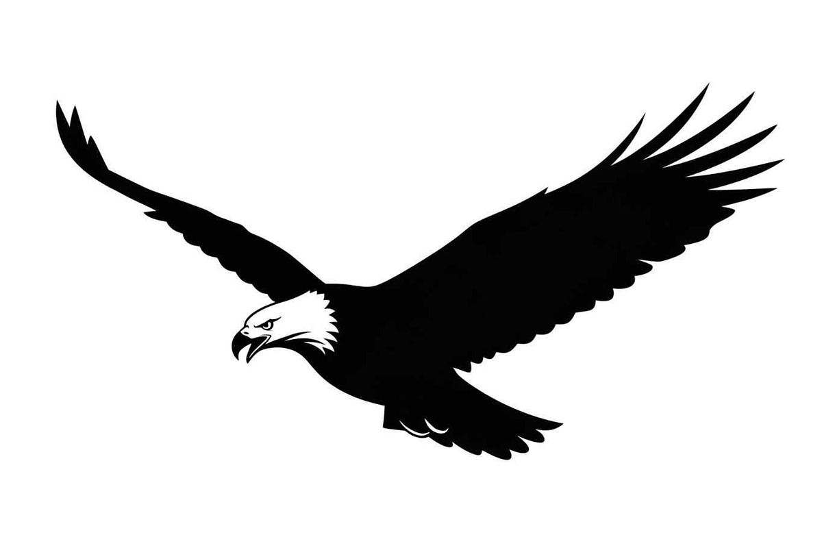 50 Flying Eagle Silhouette Vector Bu, an Illustration by Designs_River (Photo 47 of 51)