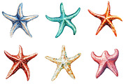 Starfish Watercolor Clipart Bundle, an Illustration by Pixels.Craft (Thumbnail 3 of 8)