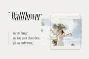 River Shine, a Serif Font by ToniStudio (Thumbnail 5 of 15)