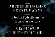 Clarita | Modern Unique Serif, a Serif Font by Mahesans Co (Thumbnail 6 of 10)