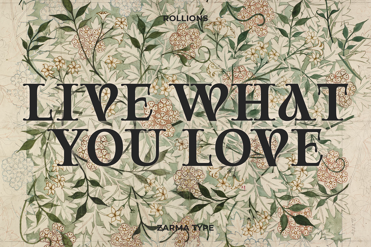 Rollions - Display Serif Font, a Serif Font by Zarma Type (Photo 8 of 12)