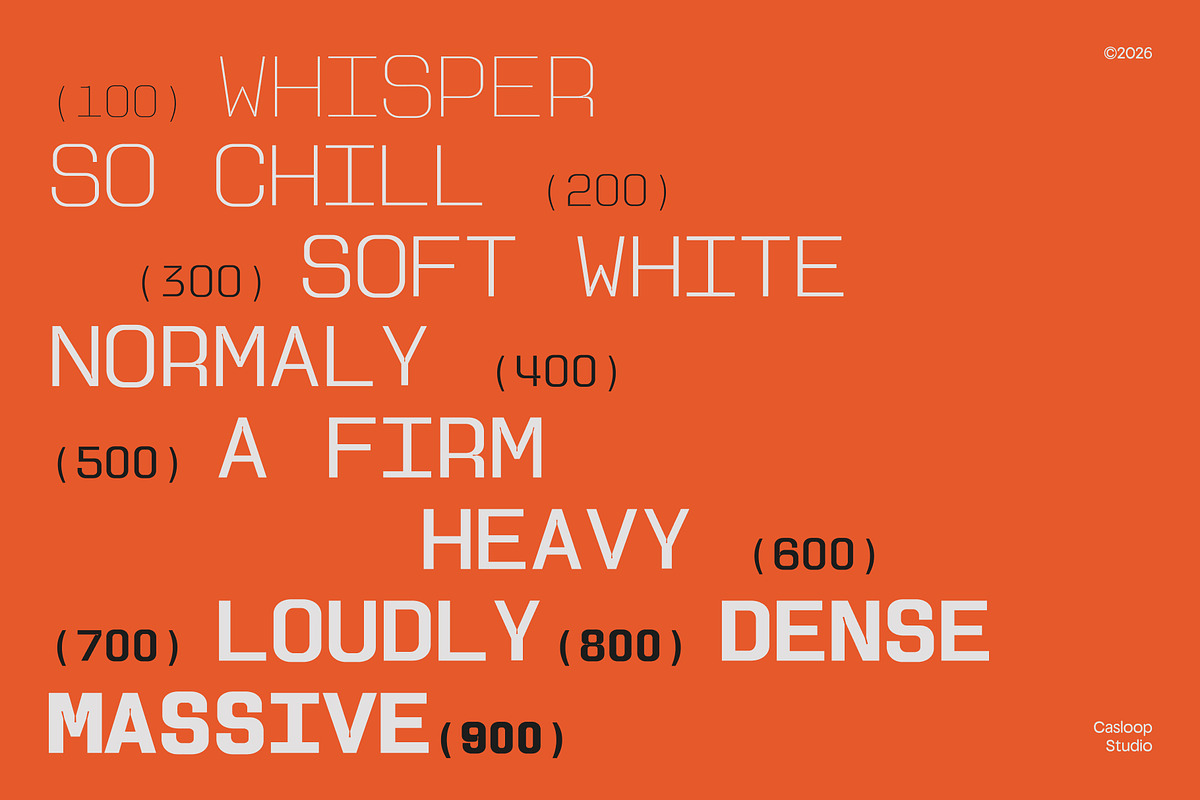 Anacute – Industrial Mono Sans, a Sans Serif Font by Casloop Studio (Photo 9 of 10)