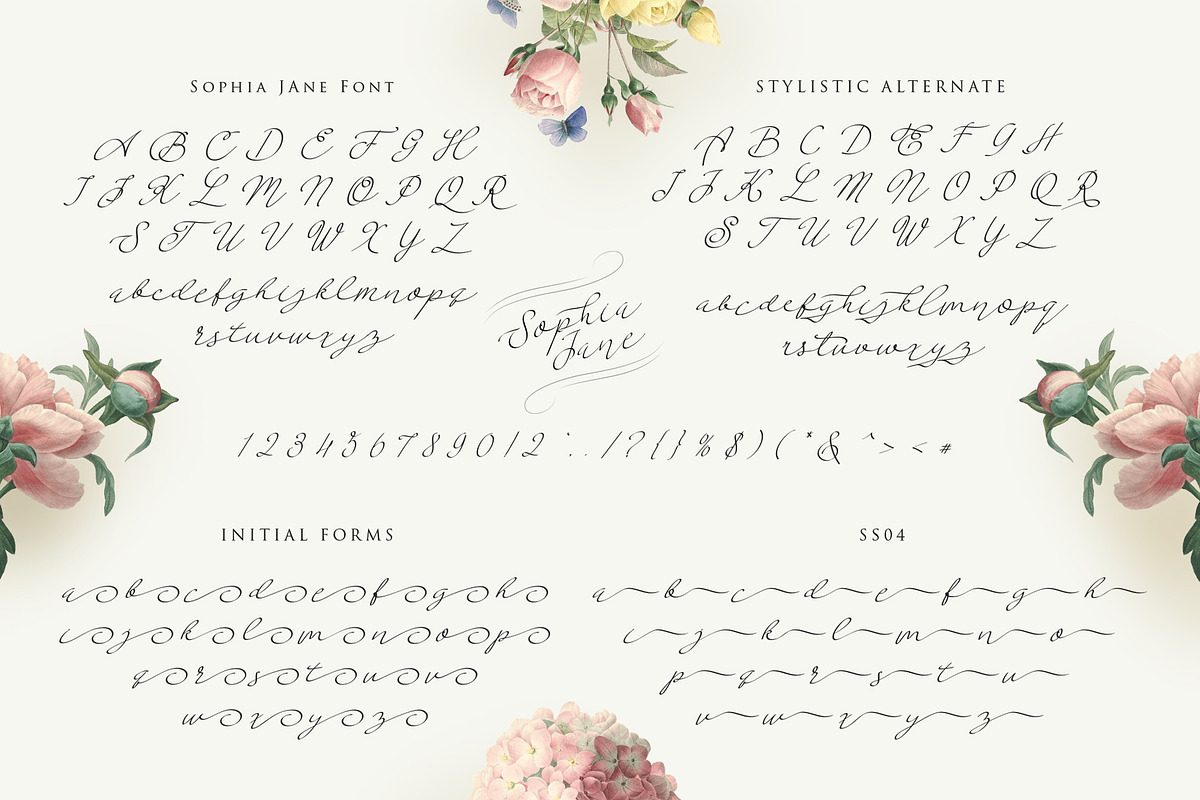 Sophia Jane | Handwritten Script preview 2