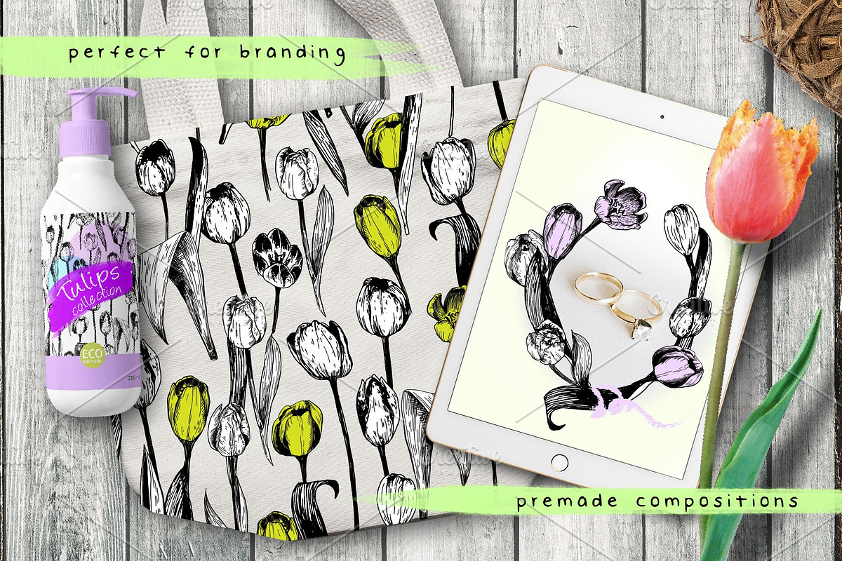 Tulips. Engraving bulb flowers, an Illustration by Alena Kaz (Photo 5 of 5)