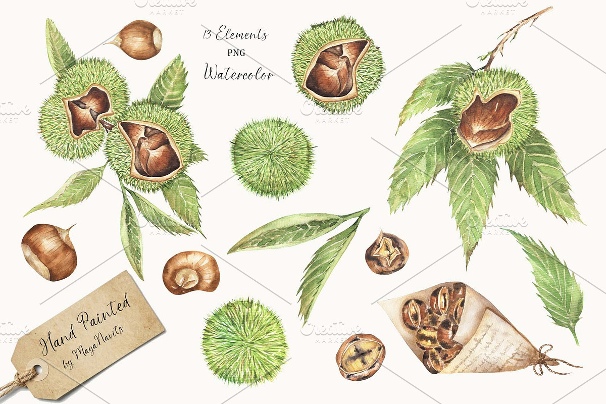 Watercolor Chestnut Set, a Food Illustration by MayaNavits (Photo 2 of 7)