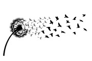 Dandelion Blow Silhouette Bundle, an Illustration by yasushie (Thumbnail 21 of 31)
