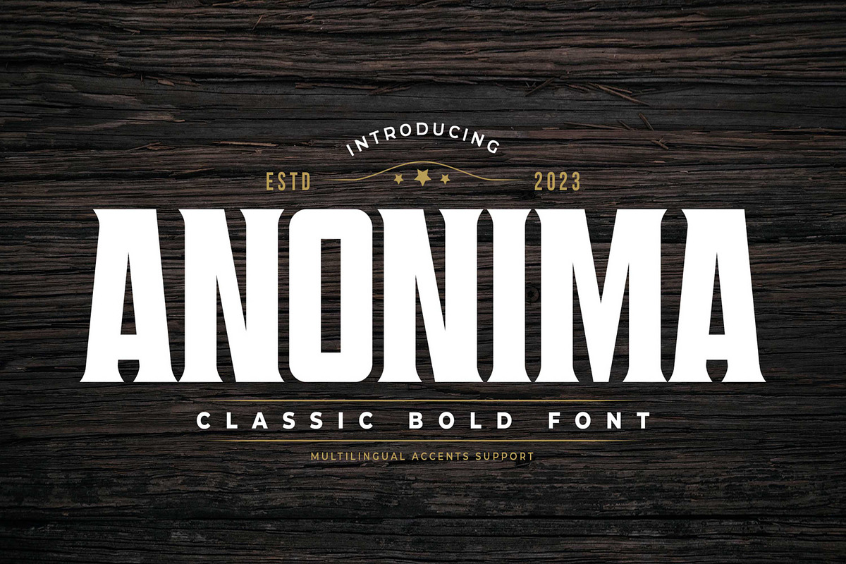 ANONIMA - Classic Bold Font, a Sans Serif Font by Gassstype (Photo 1 of 10)
