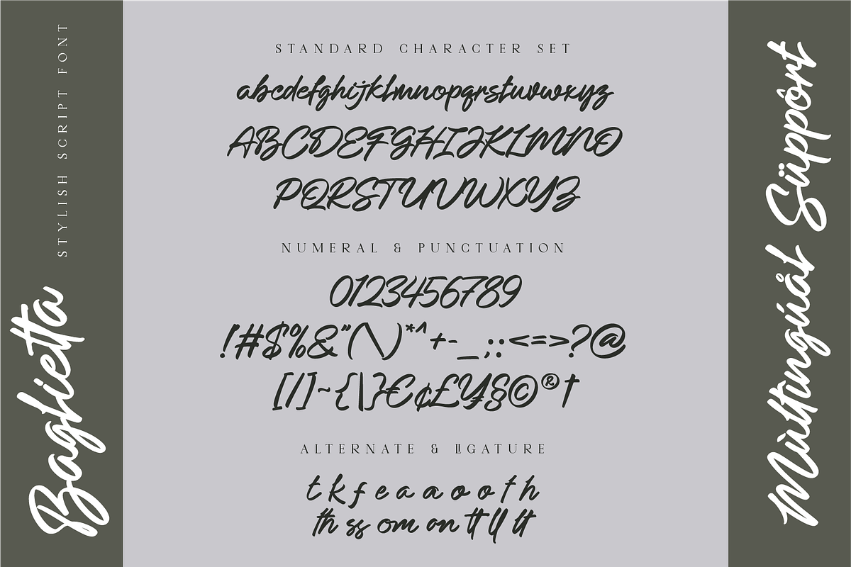 Baglietta Modern Stylish Script Font, a Script Font by Ronny Studio (Photo 9 of 9)