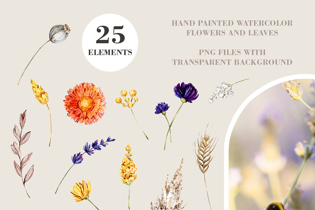 Summer Flowers Collection, an Illustration by S_ARTLOVE (Photo 2 of 8)