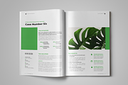 Case Study Booklet, a Templates & Theme by StockInDesign (Thumbnail 7 of 10)