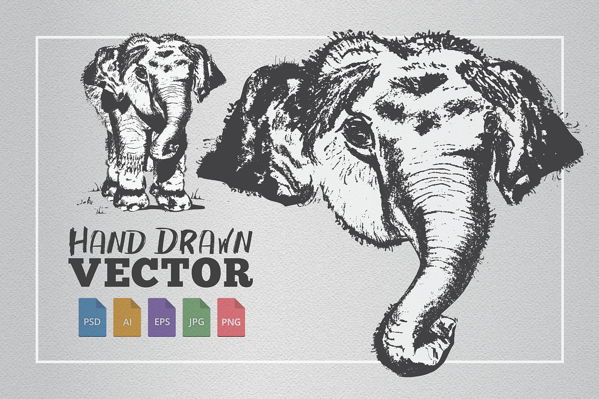 Elephant Hand Drawn Illustration, an Animal Illustration by cvcreative (Photo 1 of 3)