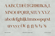 Arceloni Elegance Serif Font, a Serif Font by Vadovastd (Thumbnail 2 of 11)