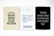 Sophisticated Portfolio Presentation, a Print Template by McLittle Stock (Thumbnail 4 of 4)