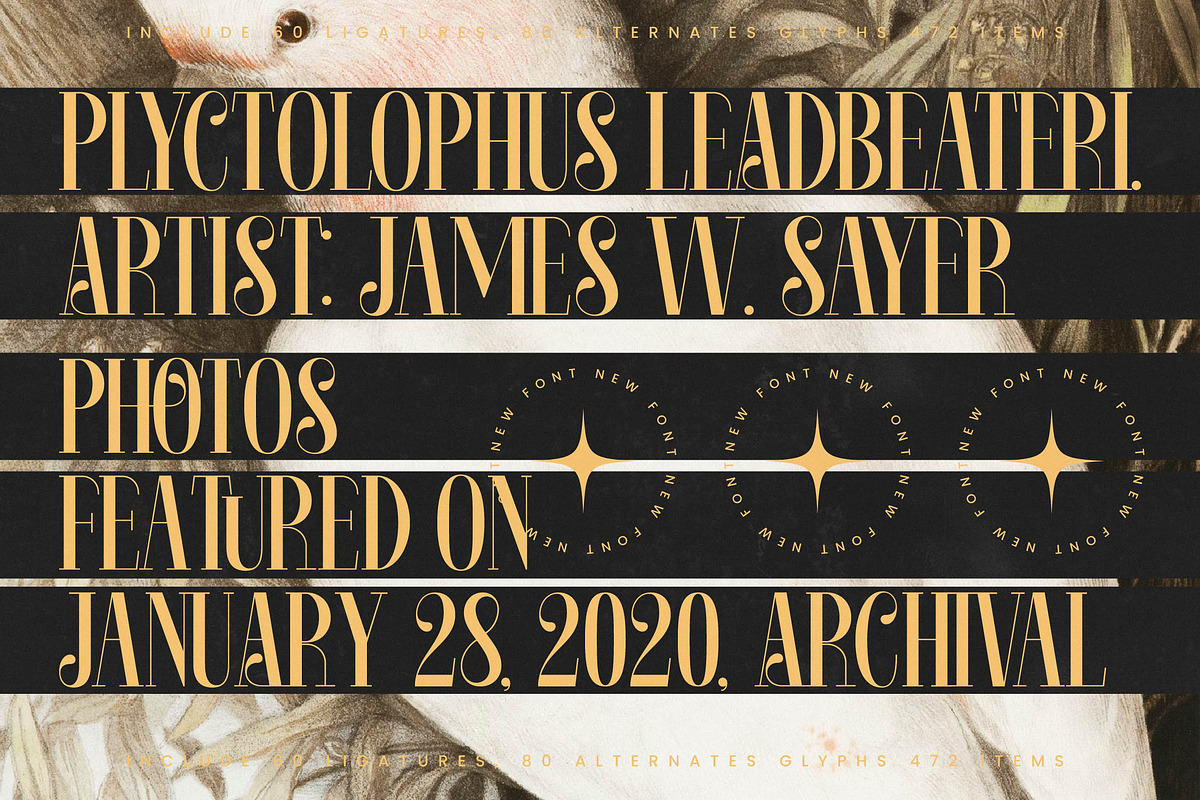 Rosejacn Modern Display Serif, a Serif Font by timelesstype.co (Photo 7 of 20)