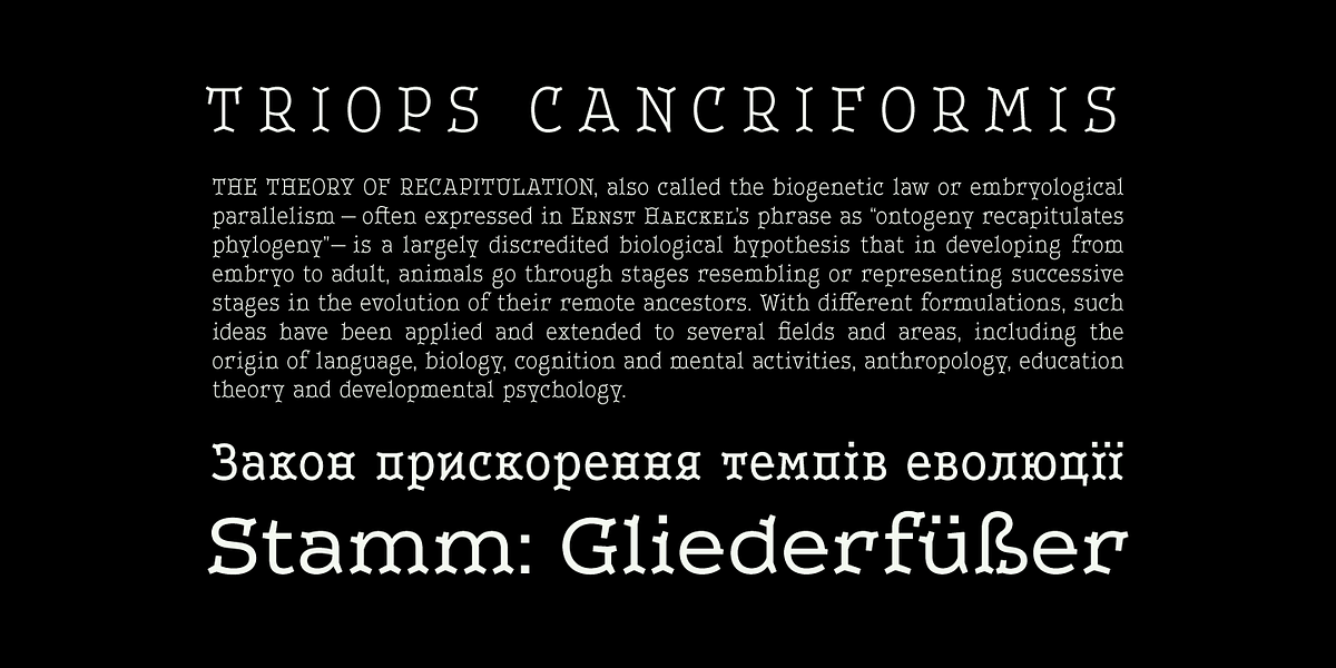Leto Two, a Serif Font by Glen Jan (Photo 9 of 10)