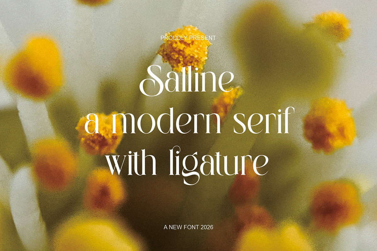 SALLINE — Modern Serif Typeface, a Serif Font by Alfinart (Photo 3 of 7)
