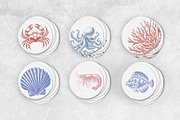 Undersea World - vector &png, an Animal Illustration by Anatartan Design (Thumbnail 8 of 13)
