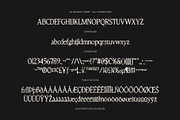 CS Quinzel Stamp, a Serif Font by Craft Supply Co. (Thumbnail 8 of 8)