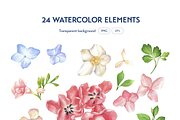 Sweet Floral Watercolor Bundle, an Illustration by Manuka (Thumbnail 3 of 7)