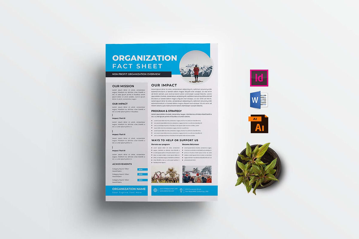 Nonprofit Organization Fact Sheet, a Flyer Template by design_hut (Photo 1 of 4)