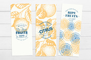 Citrus Vector  Collection, a Food Illustration by Lubov Illustrations Shop (Thumbnail 4 of 5)