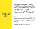 McCarthy Typeface - EIGHT Styles, a Sans Serif Font by McWhorter Creative Shop (Thumbnail 6 of 11)