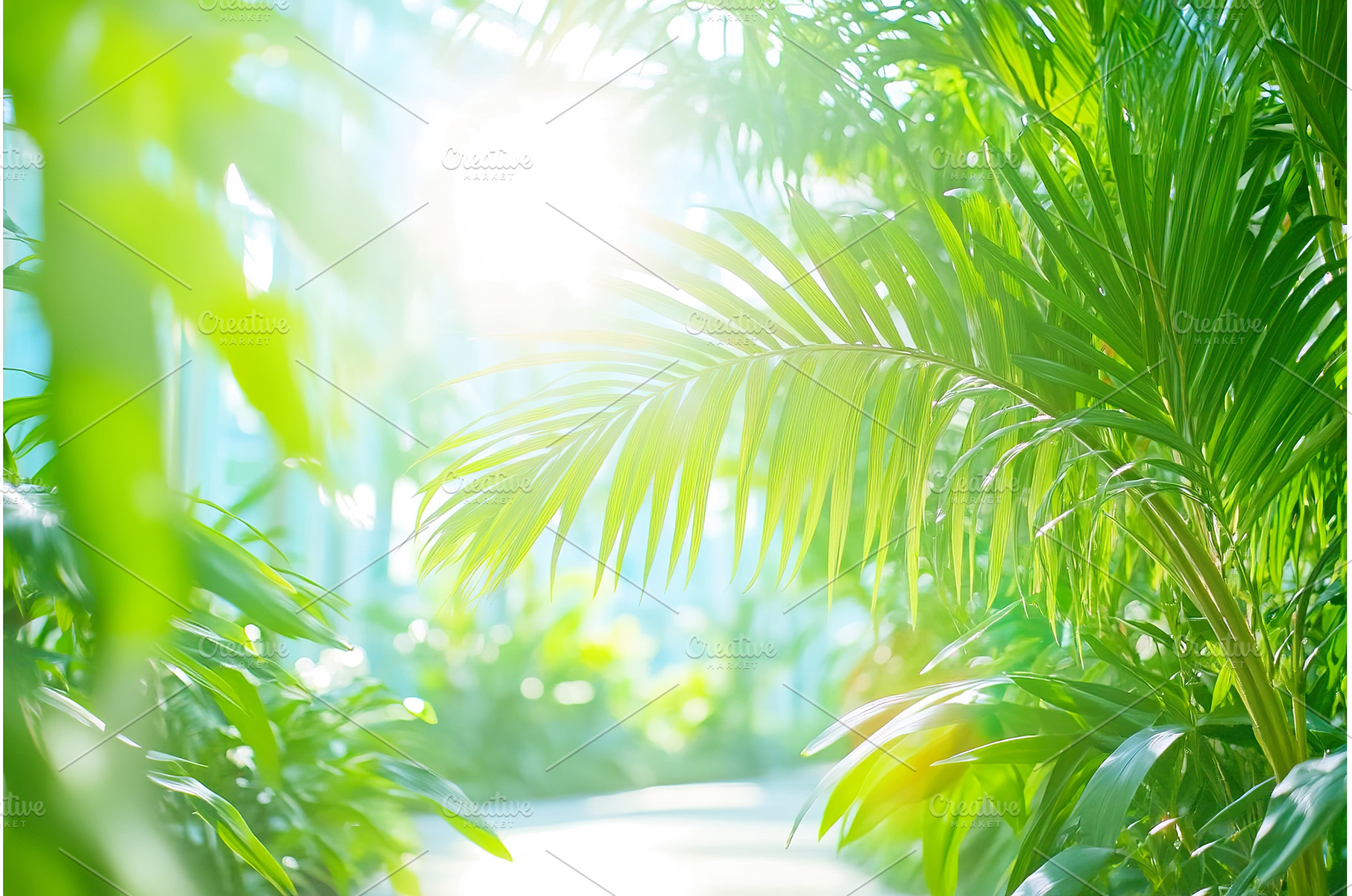 Sunlight filtering through vibrant, a Nature Photo by Lermont51