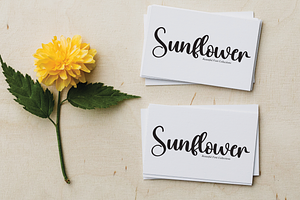 Vacation Script Font