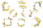 Early autumn, watercolor flowers, a Decorative Illustration by Love Watercolor Store (Thumbnail 8 of 13)