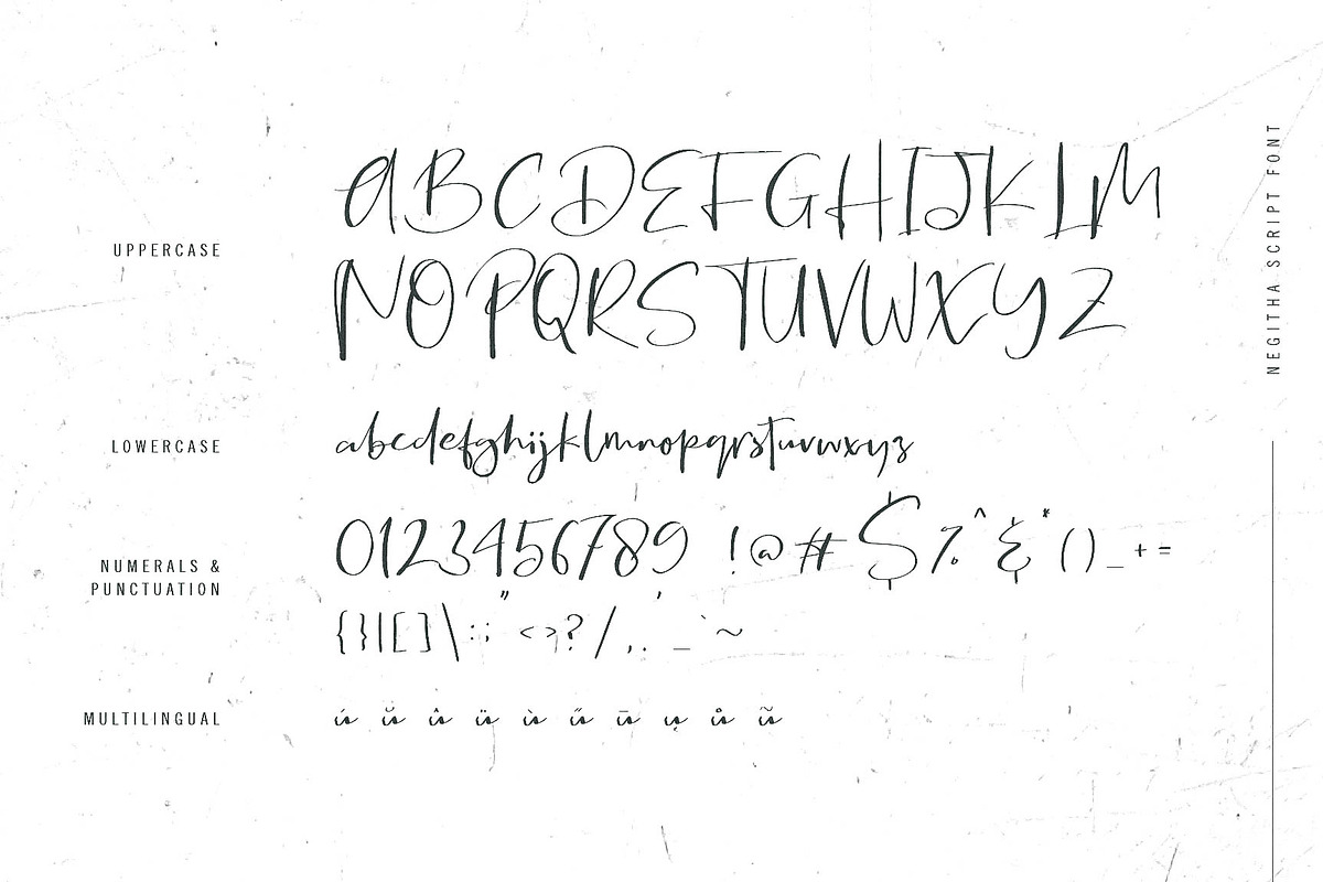 Negitha, a Script Font by Awanstudio (Photo 10 of 10)