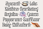 Salty Mussy - Quirky Twisted Display, a Sans Serif Font by Dharmas Foundry (Thumbnail 3 of 15)