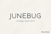 Junebug, a Sans Serif Font by Bruised Goods (Thumbnail 1 of 11)