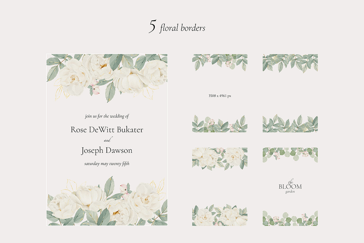 Watercolor White Rose Collection, an Object Illustration by bloomscape (Photo 12 of 13)
