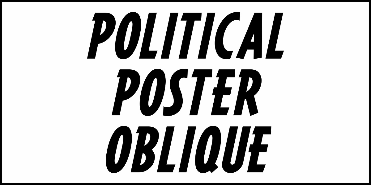Political Poster JNL, a Sans Serif Font by Jeff Levine Fonts (Photo 4 of 5)