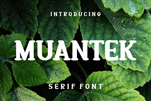 Muantek, a Serif Font by lelevien
