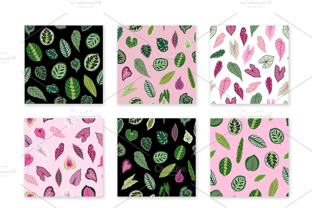 Botanical bundle. Begonia leaves, a Pattern Graphic by Nastasi (Photo 2 of 4)
