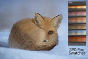 Fox Swatches, a Palette Add-On by PandoraDreams (Thumbnail 1 of 2)