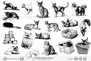 95 line art Cats clip art, an Animal Illustration by Poppy Lane Studio (Thumbnail 6 of 12)