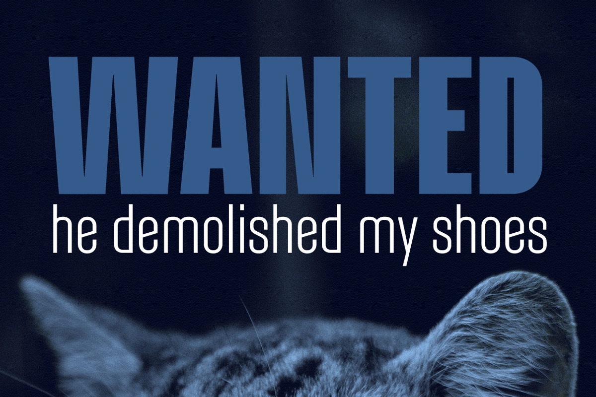 Alterhard Condensed Strict Font, a Sans Serif Font by popskraft (Photo 9 of 10)